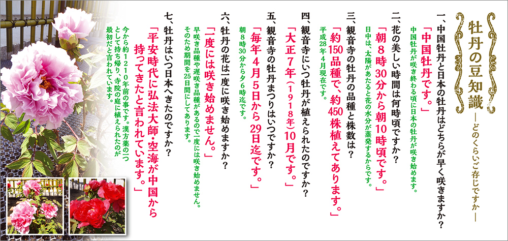 牡丹の豆知識